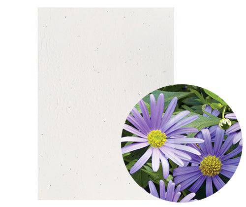 Plantable Seed Paper A5 Swan River Daisy Pack of 10