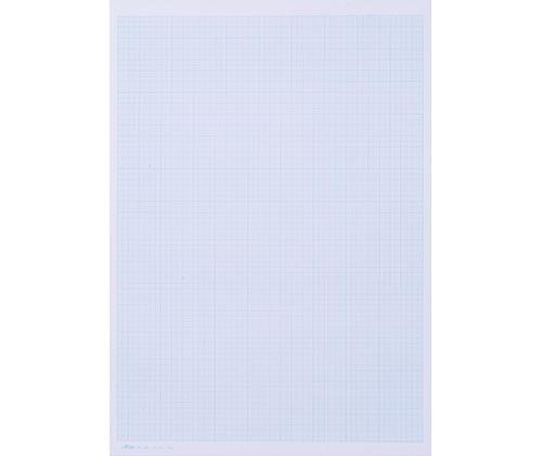 Graph Pad A3 25 Sheets