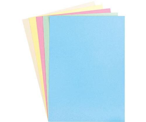 Coloured Pastel Cardboard 220gsm Pack of 100