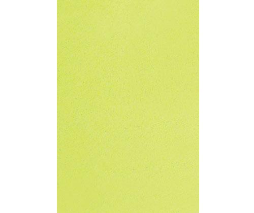 Coloured Paper Neon and Bright Colours A3 Pack of 500