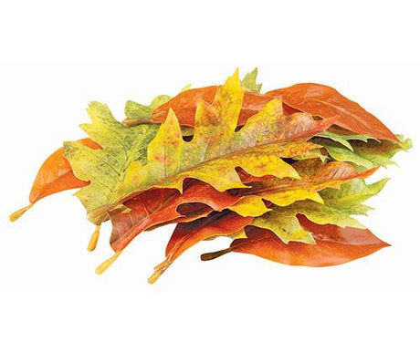 Autumn Leaves Assorted Plastic Pack of 50