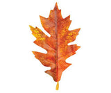 Autumn Leaves Assorted Plastic Pack of 50 - Zart