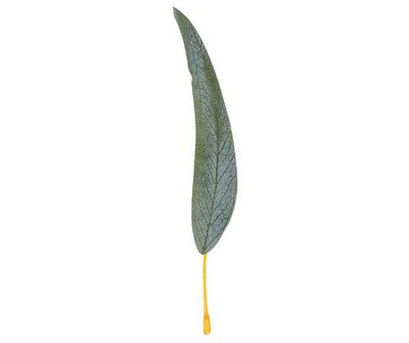 Gum Leaves Pack of 50