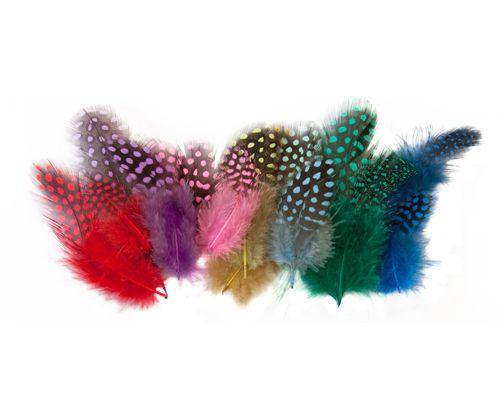 Guinea Fowl Feathers 10g Pack of 100