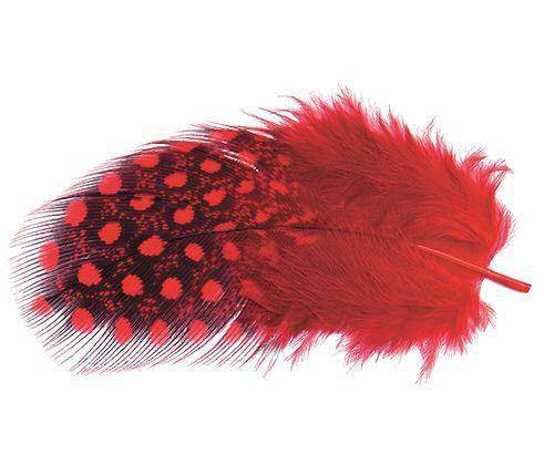 Guinea Fowl Feathers 10g Pack of 100