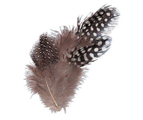 Guinea Fowl Feathers 10g Pack of 100