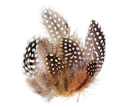 Guinea Fowl Feathers 10g Pack of 100