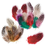 Guinea Fowl Feathers 10g Pack of 100