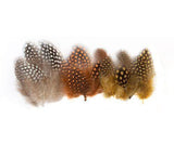 Guinea Fowl Feathers 10g Pack of 100