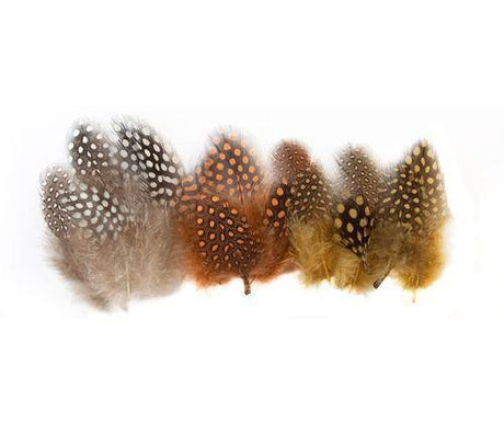 Guinea Fowl Feathers 10g Pack of 100