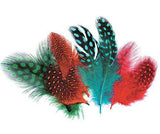 Guinea Fowl Feathers 10g Pack of 100