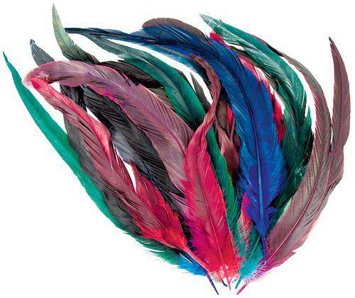 Cocktail Feathers Coloured Pack of 18