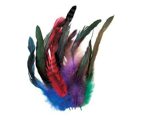 Cocktail Feathers Coloured Pack of 18