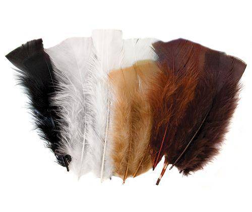 Feathers 60g Natural Pack of 240