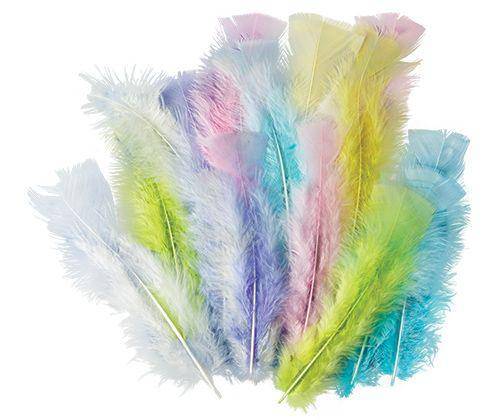 Feathers Pastel Colours 10g Pack of 60