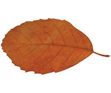 Natural Leaves Pack of 90