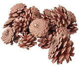 Pine Cones 200g