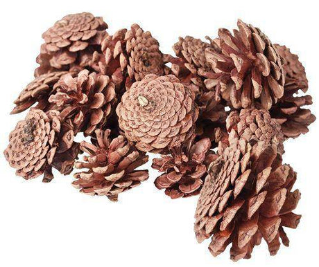 Pine Cones 200g