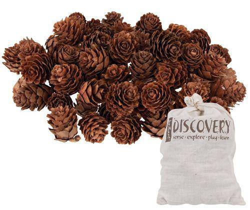 Pine Cones Mini190g