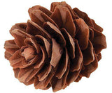 Pine Cones Mini190g