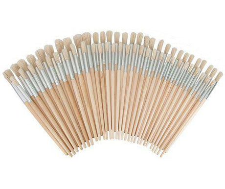 Hog Hair Assorted Size Bristle Brushes Pack of 60 - Zart