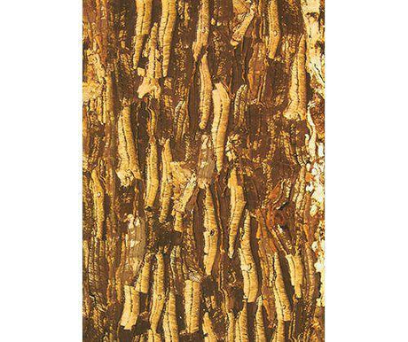 Bark Paper A3 Assorted Pack of 40