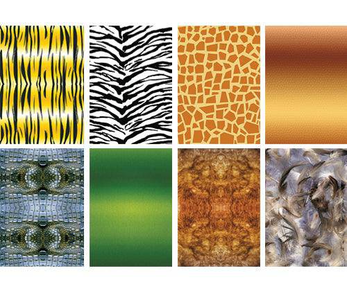 Pattern Paper A4 Animal Pack of 40