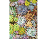 Pattern Papers A4 Foliage Pack of 40