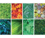 Pattern Papers A4 Foliage Pack of 40