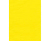 Coloured Tissue Paper Pack of 100