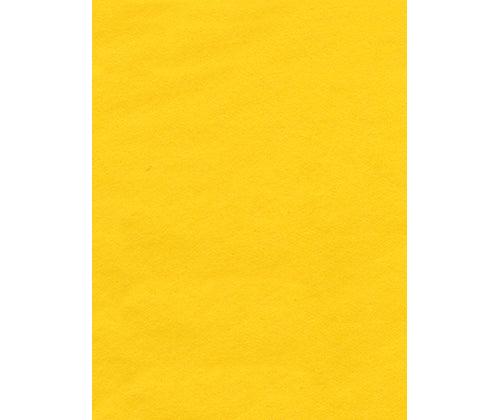 Coloured Tissue Paper Pack of 100