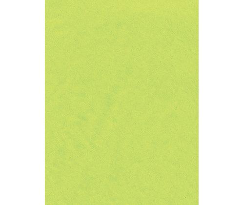 Coloured Tissue Paper Pack of 100